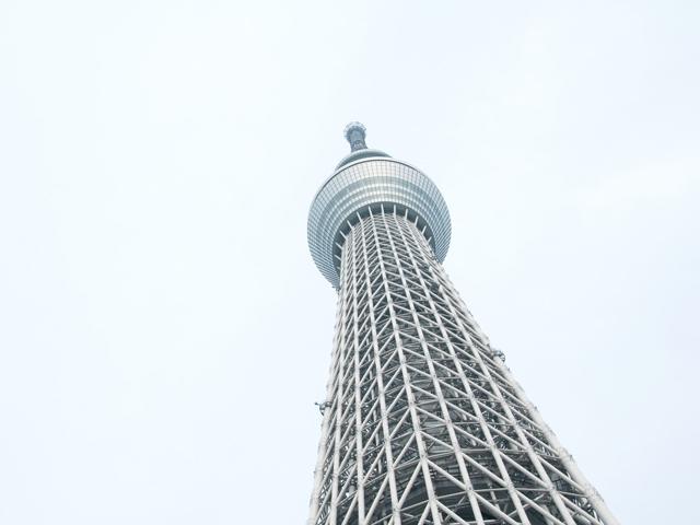 食べて飲んでかぶって生姜体験！！