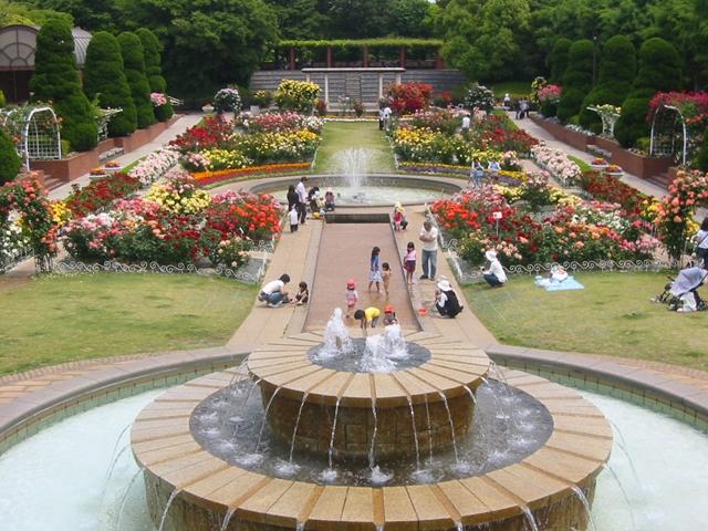プールと水遊びができる公園をご紹介します。