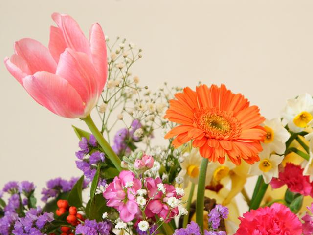 「花壇づくりと花の育て方講座」　参加者募集のお知らせ