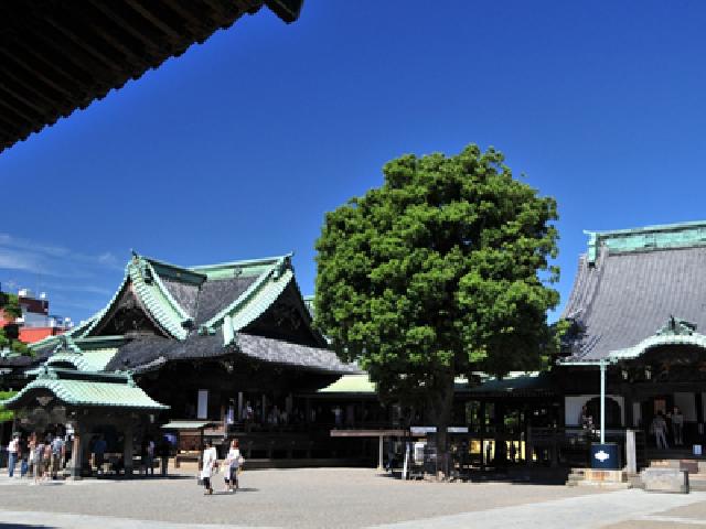 スケジュール