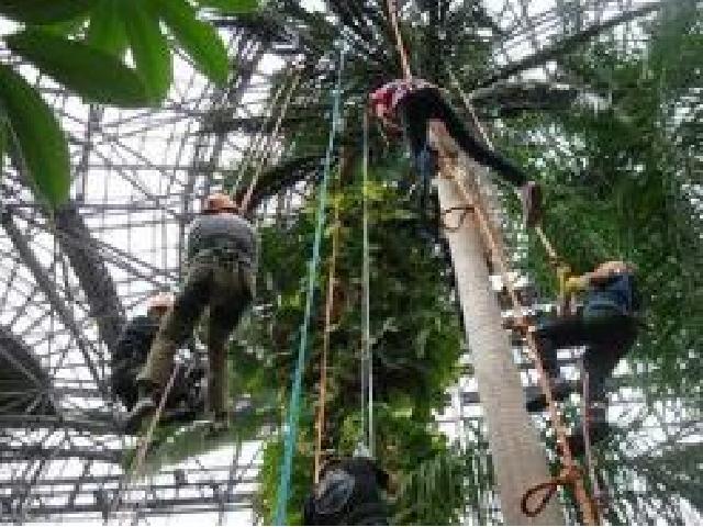 熱帯大温室で空中散歩体験　予約制