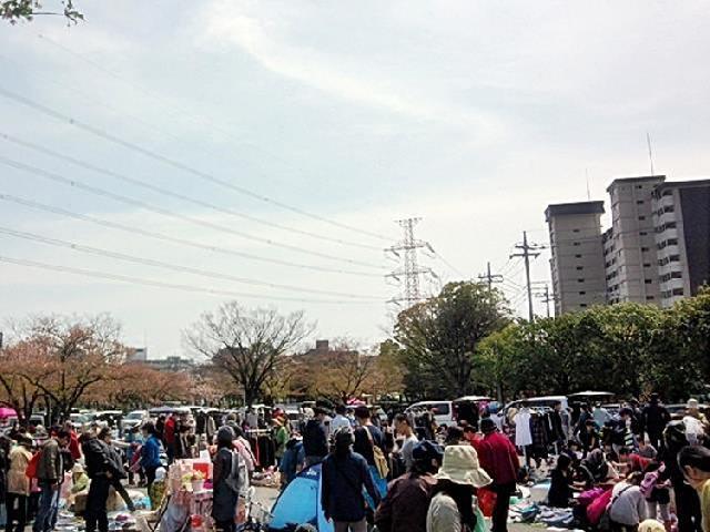 春を感じに出かけよう!3/5(土)新田6号公園でフリマ開催!