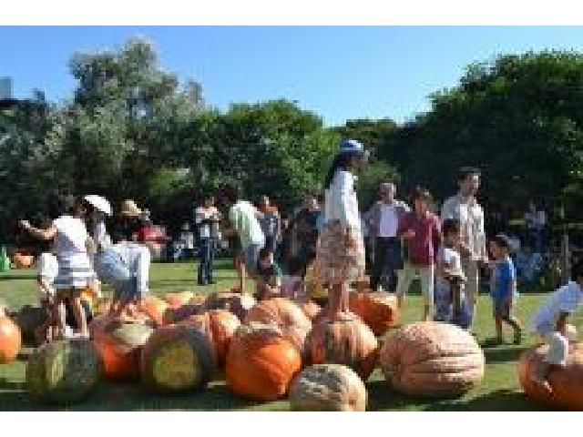 夢の島熱帯植物館でハロウィンパーティー開催! 9/23~