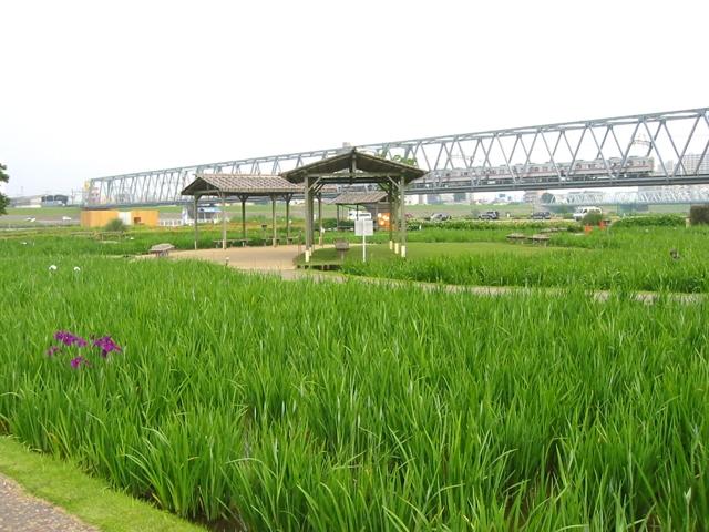 内容
