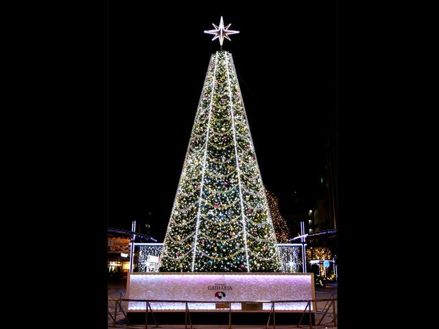 クリスマスイルミネーション2015　深川ギャザリア