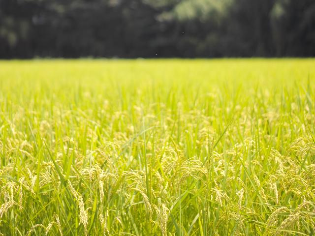 福島県のアンテナショップがオープン