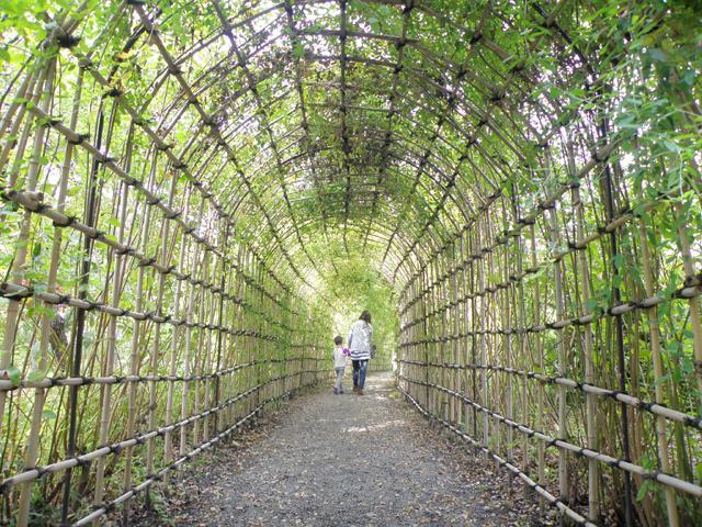 向島百花園「萩まつり」