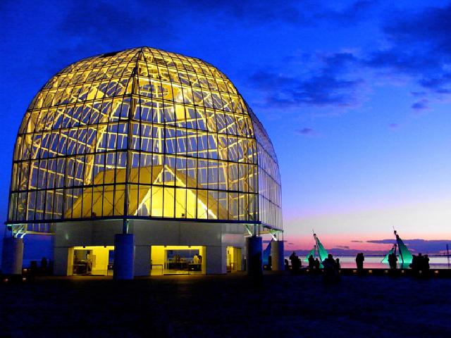 8/13-8/16 Night of Wonder──夜の不思議の水族園