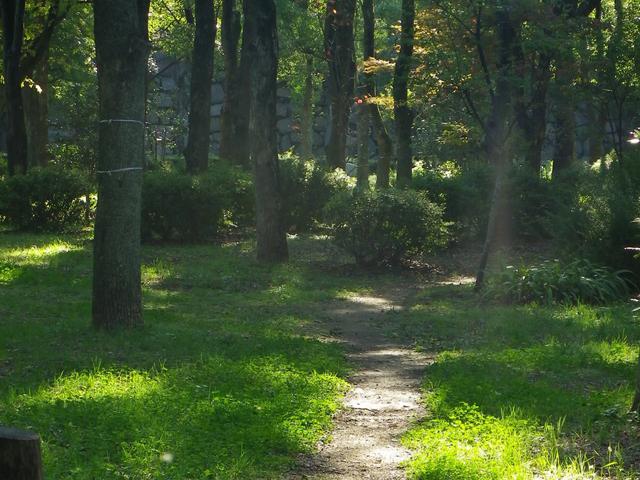 新感覚！？お寺で楽しむ写真展