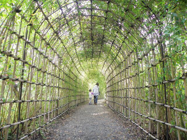 『隅田川焼ゆかりの地で陶芸を満喫』