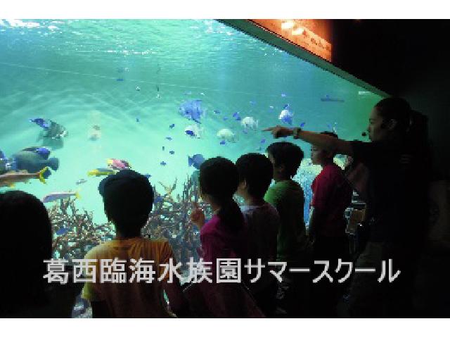 葛西臨海水族園サマースクール参加者募集