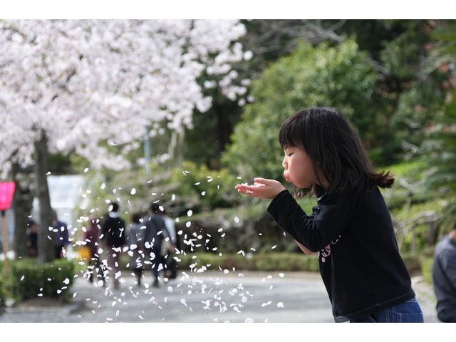 江東区にあるお花見スポットをご紹介!