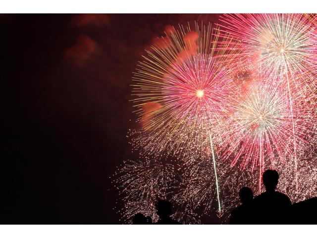 平成29年度「第51回葛飾納涼花火大会」
