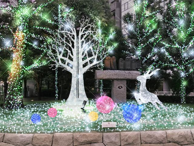 深川ギャザリア クリスマスイルミネーション 2016