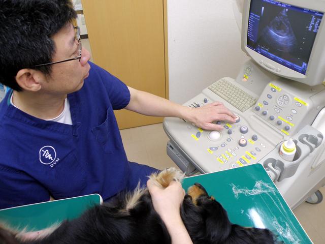 はせがわ動物病院