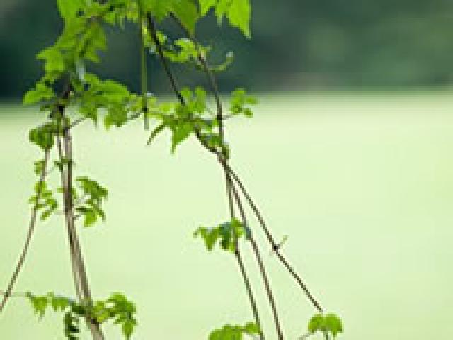 介護イベントに参加しよう!