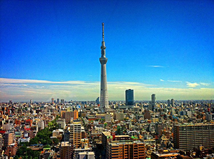 本展では、東京スカイツリー...