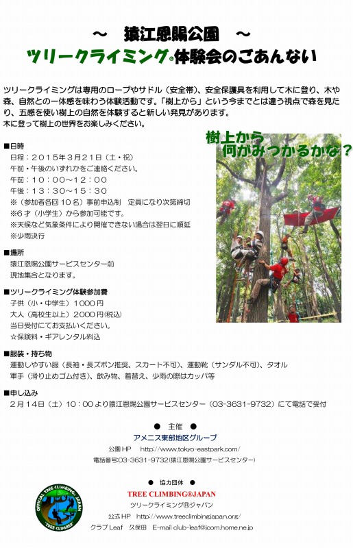 ツリークライミングは専用の...