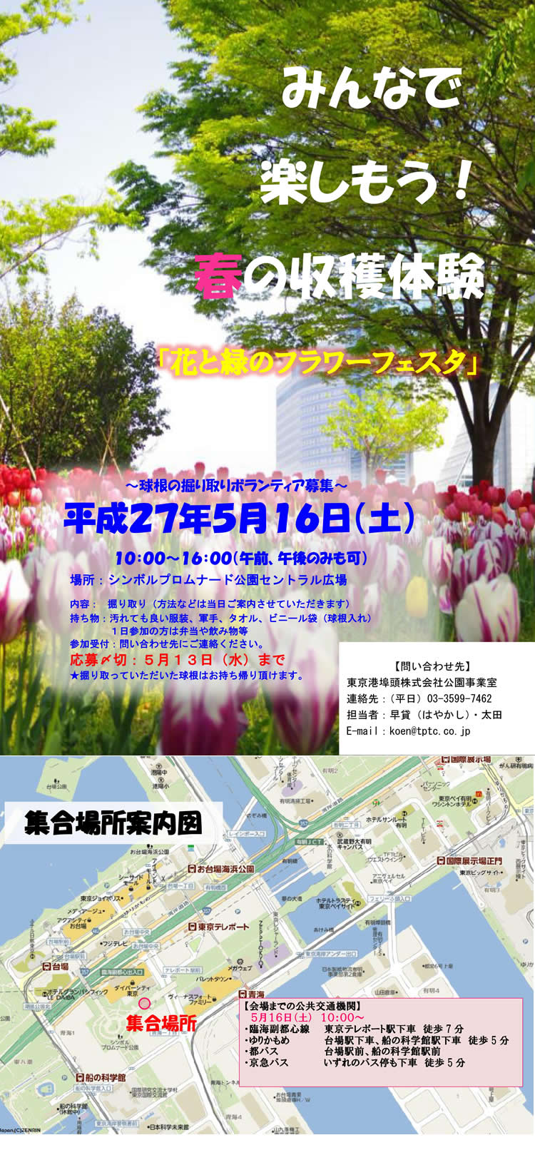 球根の掘り取りボランティア...