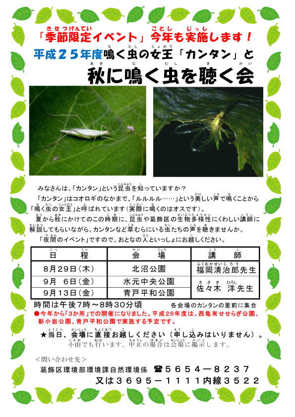 カンタンはコオロギの仲間で...