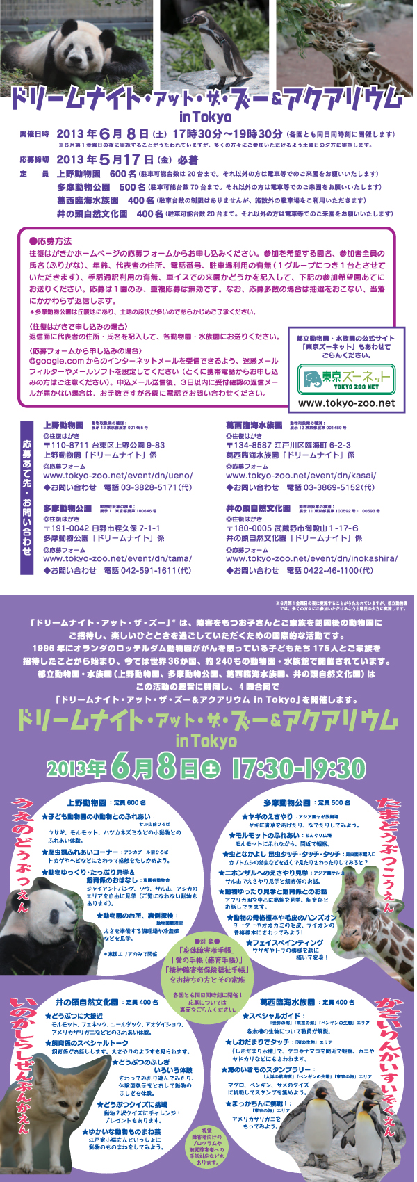 「ドリームナイト・アット・...