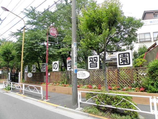 緑と花の学習園