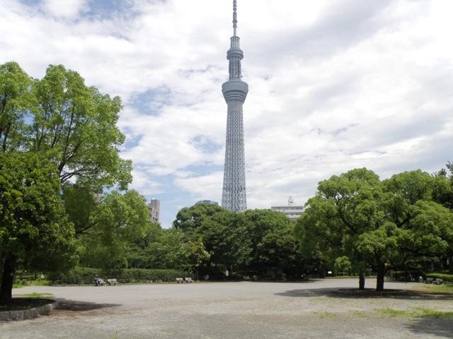 墨田区立 隅田公園