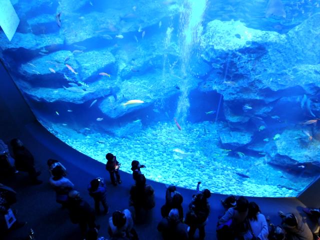 すみだ水族館