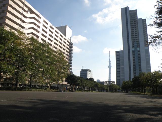 東白鬚公園 大きな公園 堤通 鐘ヶ淵駅 墨田区時間